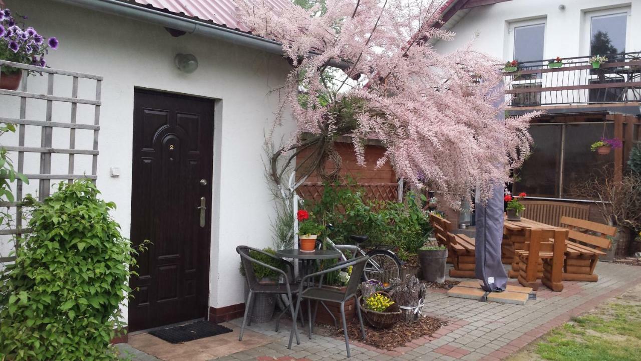 Pokoje Goscinne Renata Knitter Komnino エクステリア 写真